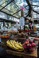 Kasauli Hills Resort