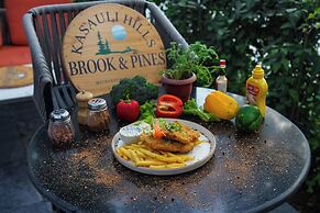 Kasauli Hills Resort