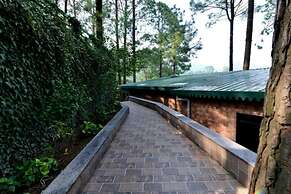 Kasauli Hills Resort
