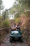 Kasauli Hills Resort