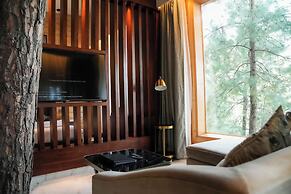 Kasauli Hills Resort