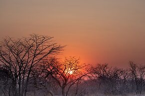 Etosha Trading Post