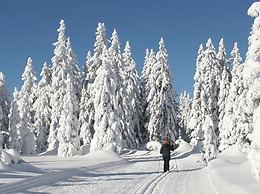 GarniHotel -  Arberblick