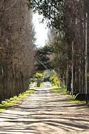 Hotel Jardín del Lago