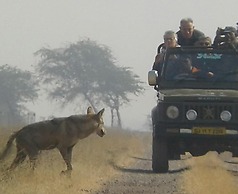 Blackbuck Safari Lodge Velavadar