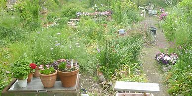 Pension Flora