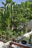 La Pantera Negra Gallery and B&B