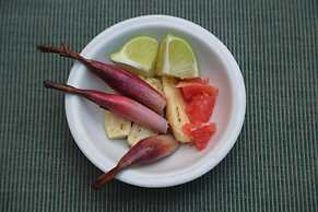 La Pantera Negra Gallery and B&B