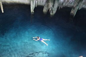 La Pantera Negra Gallery and B&B