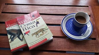 Saltish Hotel & Villas