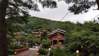 Goesan Namgang Pension