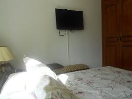 Gohouse - Anibal 604