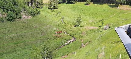 Landhotel Thälerhäusle Ochsen