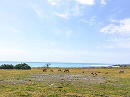 Mayhow Donghe - Hostel