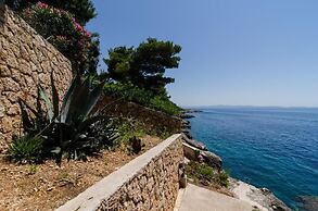 Apartments Plavac Mali