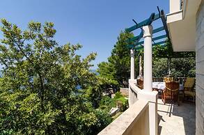 Apartments Plavac Mali