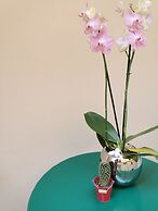 Margherita Boutique Rooms