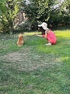 Villa Anica Dubrovnik