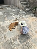 Villa Anica Dubrovnik