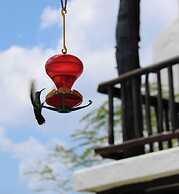 Villas Mayaluum Cozumel