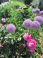 B&B Aline Florentine