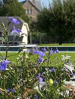 B&B Aline Florentine