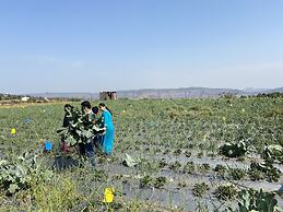 Lake Paradise Mahabaleshwar