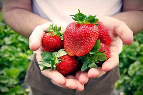 Lake Paradise Mahabaleshwar