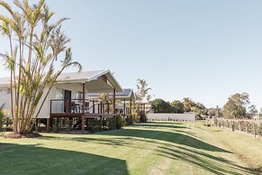 Salt at South West Rocks