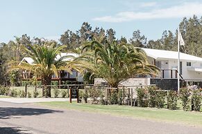 Salt at South West Rocks