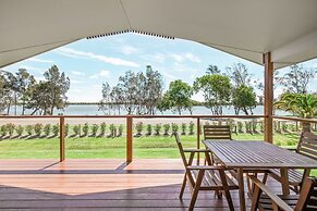 Salt at South West Rocks