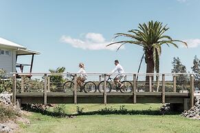 Salt at South West Rocks