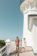 Salt at South West Rocks