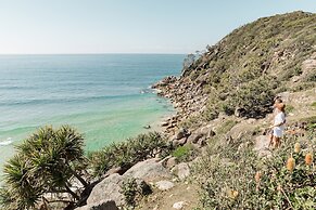 Salt at South West Rocks