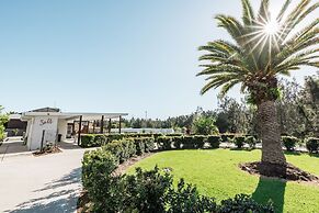 Salt at South West Rocks