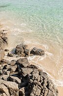 Salt at South West Rocks