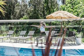 Salt at South West Rocks