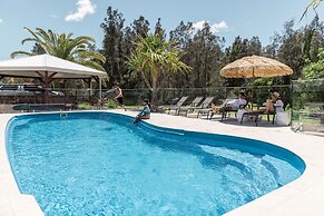 Salt at South West Rocks