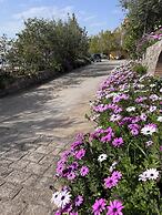 Verga Apartments & Suites