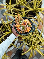 The Summer House, Pachmarhi - AM Hotel Kollection