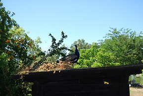 Vivienda Rural el Retorno