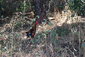 Vivienda Rural el Retorno