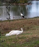 Vivienda Rural el Retorno