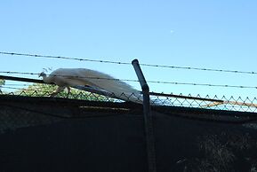 Vivienda Rural el Retorno