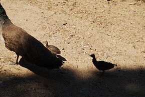 Vivienda Rural el Retorno