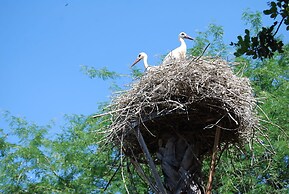 Vivienda Rural el Retorno