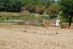 Vivienda Rural el Retorno