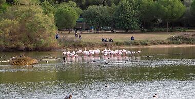 Vivienda Rural el Retorno
