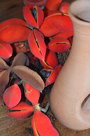 Pousada Velho Bateau