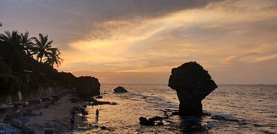 Little Ryukyu Hermit Crab Homestay